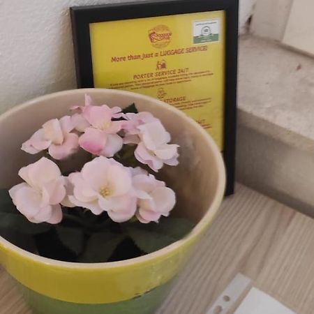 Simply Dubrovnik Nikole Bozidarevica 2 A B C D Appartement Buitenkant foto